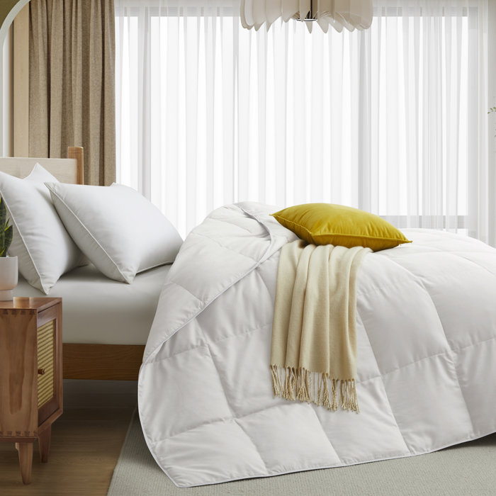 Alwyn Home Summer Goose Down Comforter & Reviews Wayfair